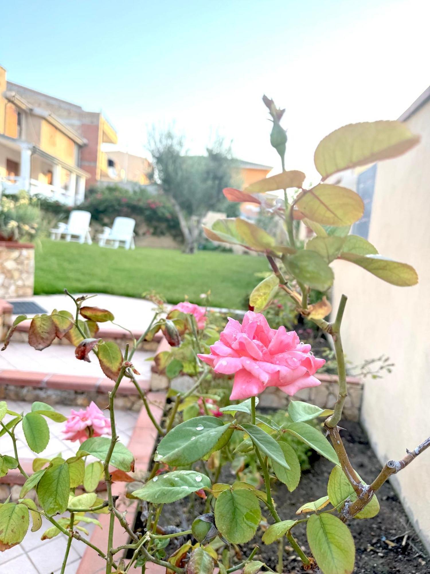 Rosa'S House - Zona Ospedaliera Apartment Каляри Екстериор снимка